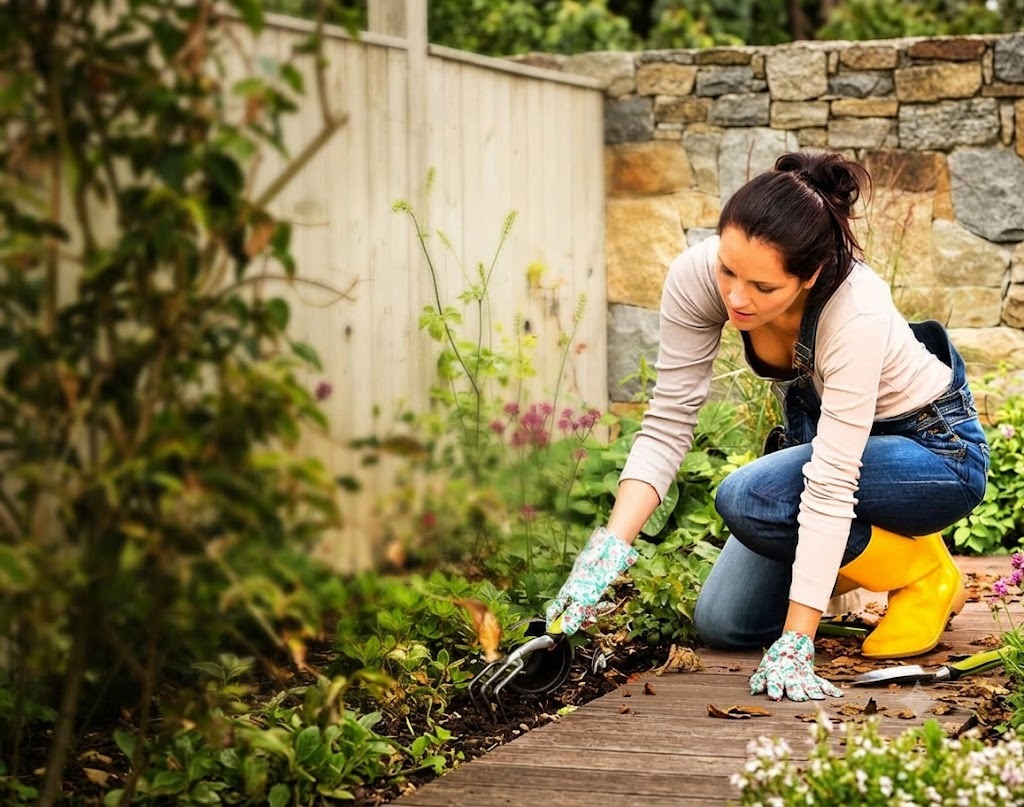 Quality Landscaping Project Brisbane Northside