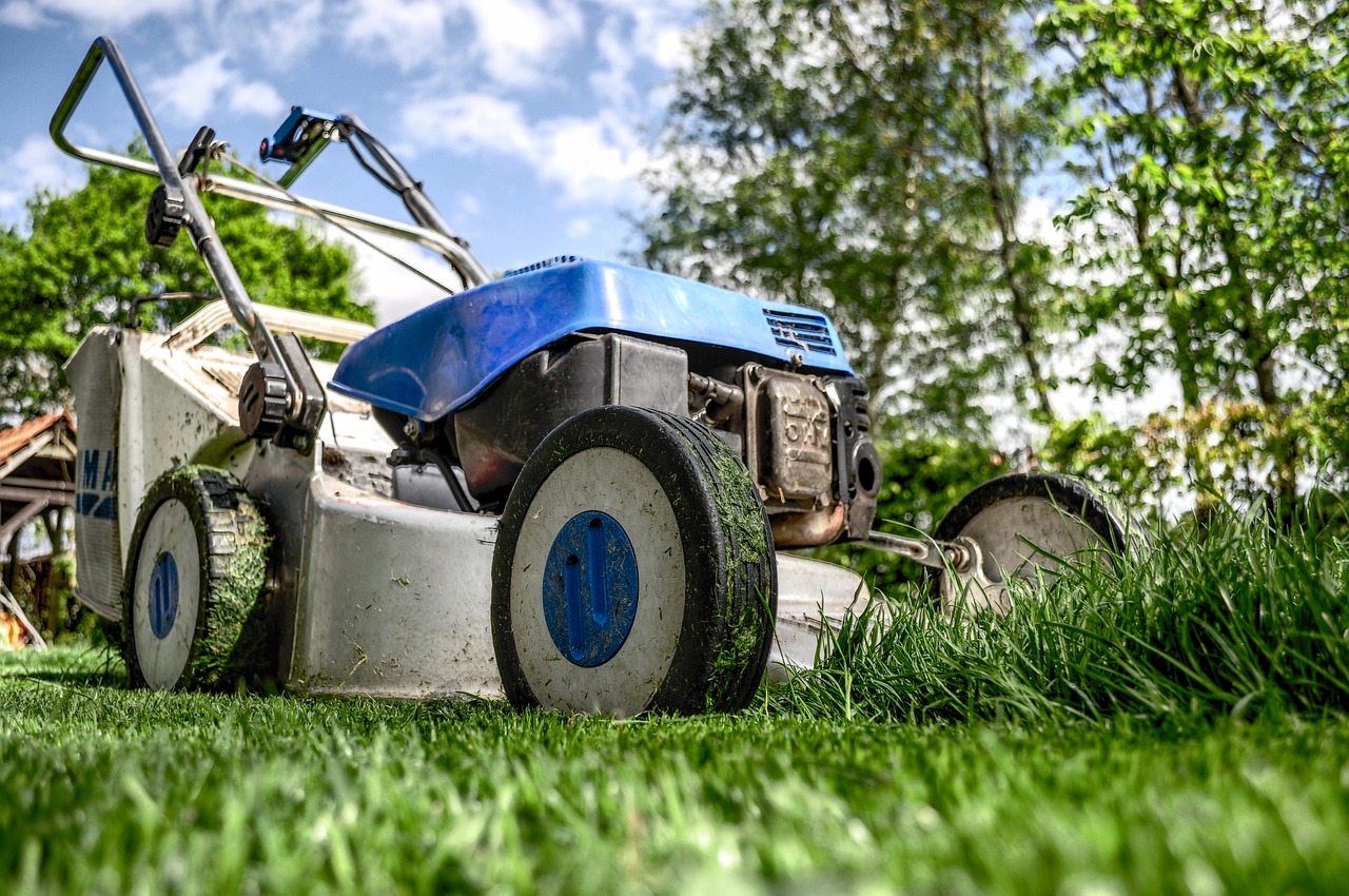 Overgrown Yard Cleanup and Maintenance Brisbane