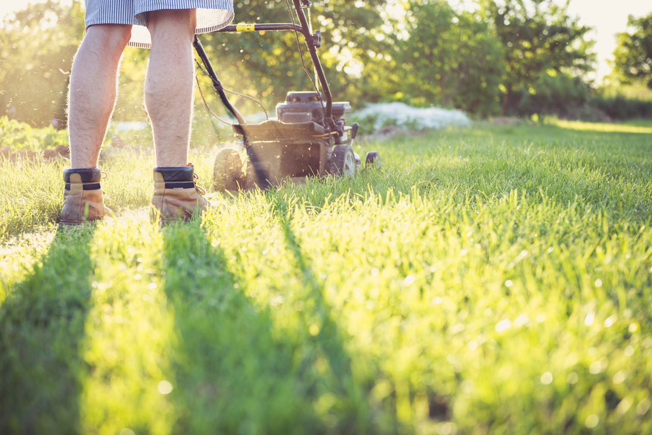 Lawn Mowing and Edging Brisbane