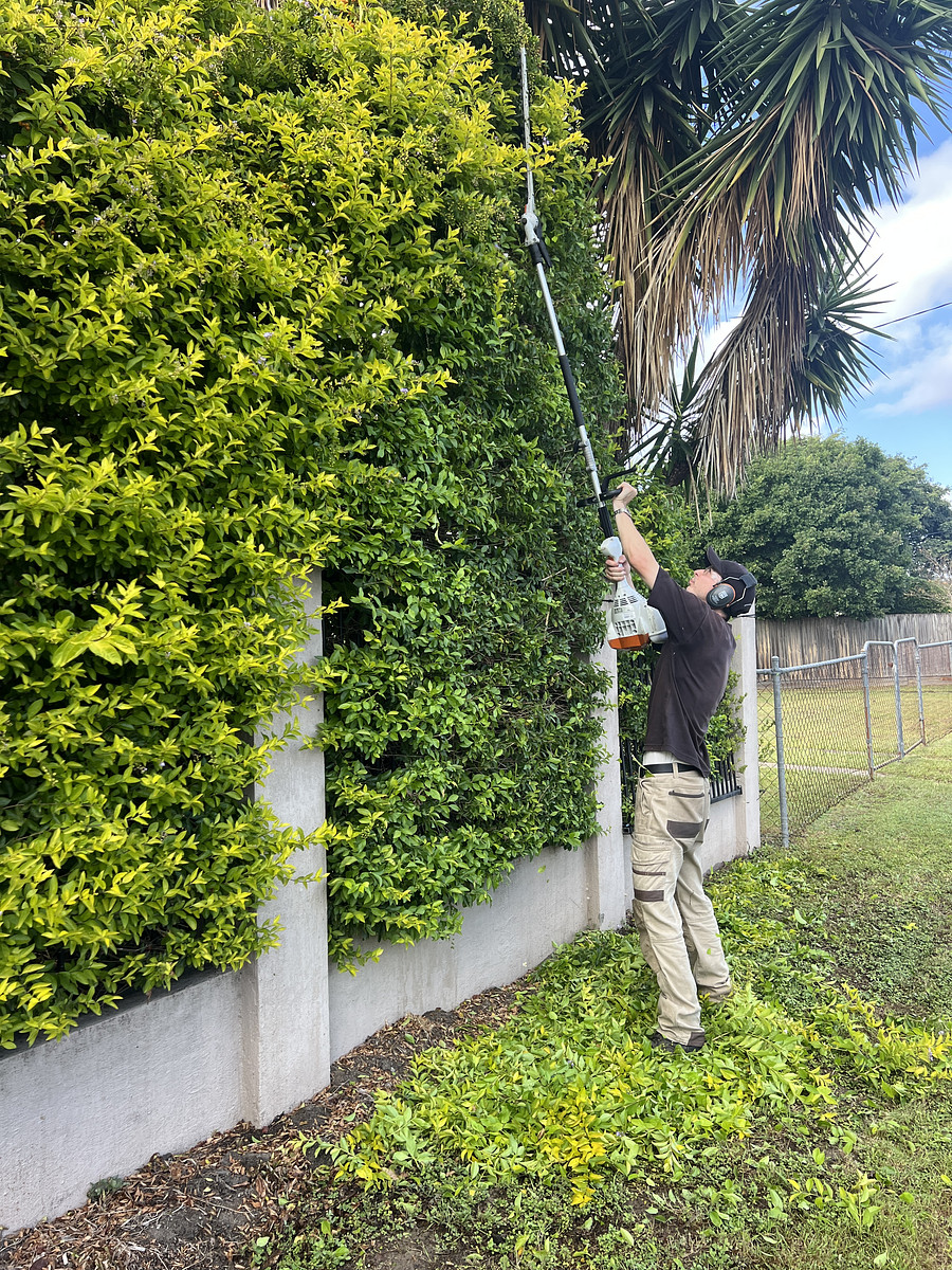 Garden Maintenance and Care Service Brisbane