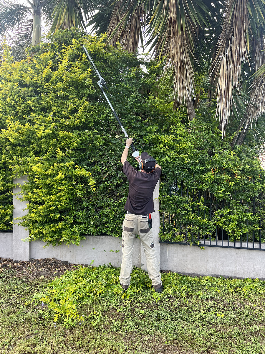 Hedge Trimming and Garden Care Brisbane Northside